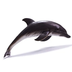 recur-figure-dolphin