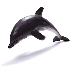 recur-figure-dolphin