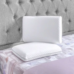 sleeplite-60x40-cm-set-2-pcs-bantal-memory-foam