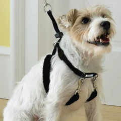 pawise-ukuran-xs-harness-anjing-training---hitam