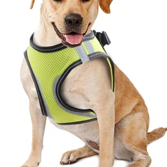 pawise-ukuran-s-harness-anjing-doggy-safety