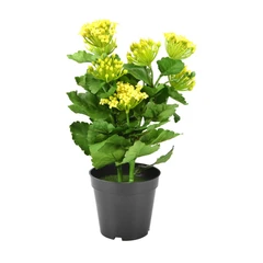 kris-garden-bunga-artifisial-dengan-pot-kalanchoe---kuning