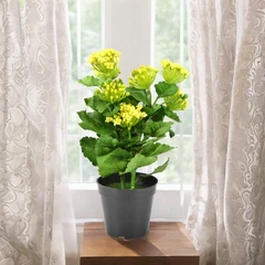 kris-garden-bunga-artifisial-dengan-pot-kalanchoe---kuning