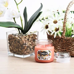 candle-lite-sunlite-mandarin-berry-lilin-aromaterapi-85-gr