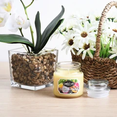 candle-lite-tropical-fruit-medley-lilin-aromaterapi-85-gr