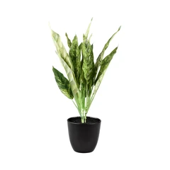 kris-garden-35-cm-tanaman-artifisial-aglaonema-modestum