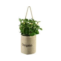 arthome-20-cm-tanaman-artifisial-money-in-flax-bag