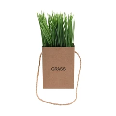 arthome-tanaman-artifisial-grass-in-the-paper-bag