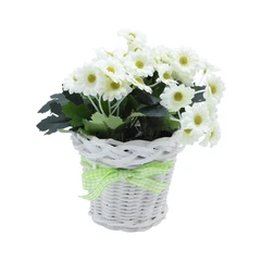 arthome-17-cm-bunga-artifisial-daisy-keranjang-rotan---putih