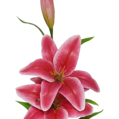 arthome-106.5-cm-bunga-artifisial-lily---merah