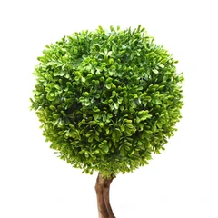 informa-tanaman-artifisial-boxwood-single-28x28x60-cm