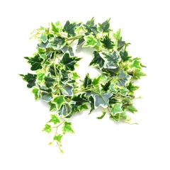 arthome-2.2-mtr-bunga-artifisial-wreath-ivy---putih