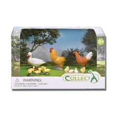 collecta-set-5-pcs-figure-farm-life-chicken-89262