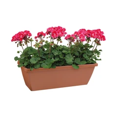 elho-50-cm-barcelona-pot-tanaman-trough---cokelat