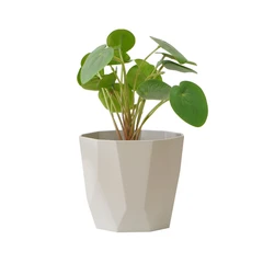 elho-b-for-rock-pot-tanaman-14-cm---abu-abu