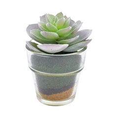 arthome-11-cm-tanaman-artifisial-sukulen-agave