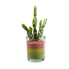 arthome-14-cm-tanaman-artifisial-cactus-pot-gelas---hijau