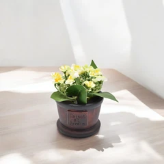 arthome-11-cm-bunga-artifisial-dengan-pot---kuning