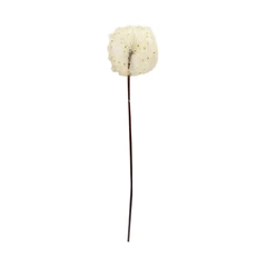 informa-bunga-artifisial-90-cm-dandelion---putih