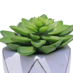 informa-tanaman-artifisial-lotus-in-pot-70g-17.8x21.6-cm