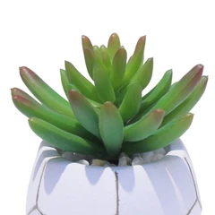 informa-tanaman-artifisial-lotus-in-pot-46g-9x9x10.2-cm