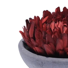 informa-tanaman-artifisial-chrysant-dengan-pot-8r-14.7x8.9-cm