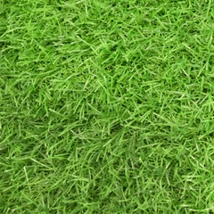 cc-grass-2x1-mtr-rumput-artifisial