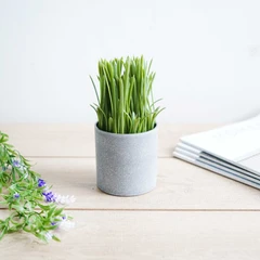 arthome-17-cm-rumput-artifisial-dengan-pot