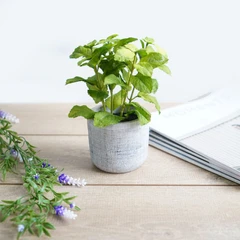 arthome-17-cm-daun-mint-artifisial---hijau