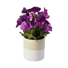 arthome-27-cm-bunga-artifisial-petunia-dengan-pot