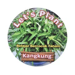 lets-plant-benih-kangkung