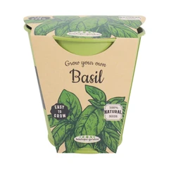 boutique-garden-bibit-tanaman-basil-dengan-bio-pot-zinc