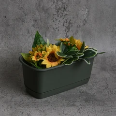 clover-26-cm-pot-tanaman-persegi-panjang---hijau-tua