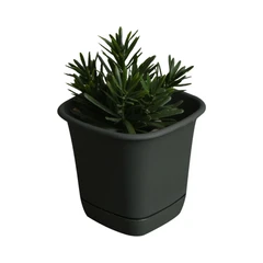 clover-14-cm-pot-tanaman-persegi---hijau-tua