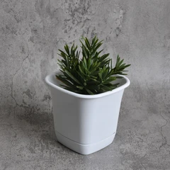 clover-14-cm-pot-tanaman-persegi---putih