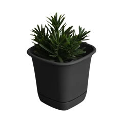 clover-14-cm-pot-bunga-persegi---hitam