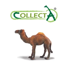 Collecta Figure Dromedary Camel 88208