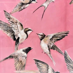 informa-hiasan-dinding-100x100x3.5-cm-canvas-art-birds---pink