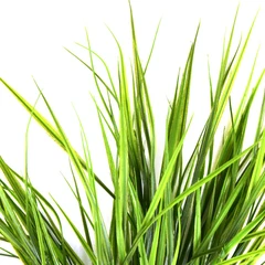 informa-tanaman-artifisial-grass-bush-70-cm---hijau