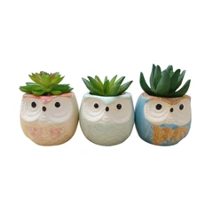 selma-set-3-pcs-owl-tanaman-artifisial-sukulen