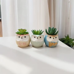 selma-set-3-pcs-owl-tanaman-artifisial-sukulen