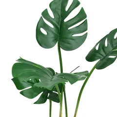 informa-tanaman-artifisial-monstera-13x13x62-cm---hijau