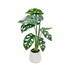 informa-tanaman-artifisial-monstera-adansonii-11x11x38-cm---hijau