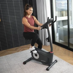 Sepeda schwinn ace hardware outlet