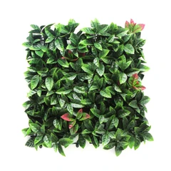 cc-grass-50x50-cm-tanaman-dinding-buatan-photinia