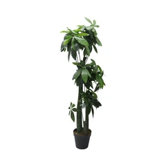 arthome-150-cm-tanaman-artifisial-fortune-tree