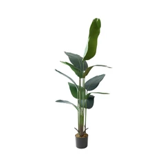 arthome-160-cm-tanaman-artifisial-travellers-banana-tree