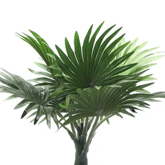 arthome-40-cm-tanaman-artifisial-fern-dengan-pot-keramik