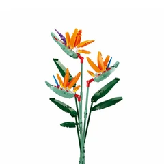 sluban-set-flowers-strelitzia-reginae-aiton