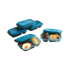 kris-set-5-pcs-wadah-makanan-2-sekat-rectangel---biru